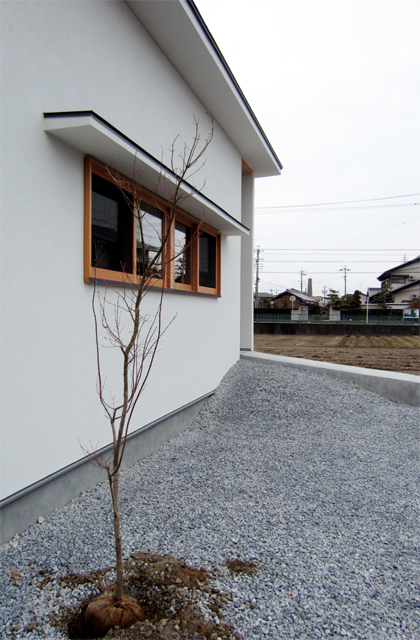 植樹/結居の平屋/岐阜の設計事務所　スペースワイドスタジオ